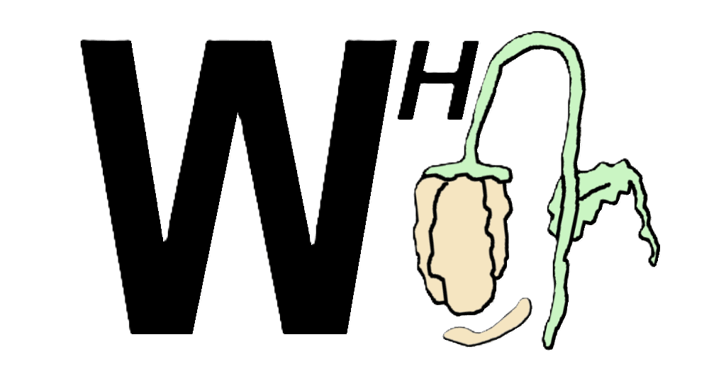 www.wilting.org